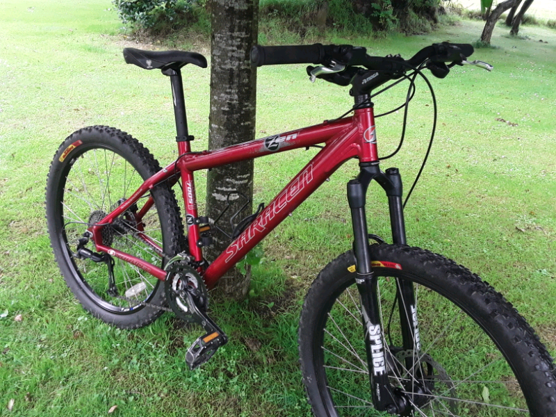 saracen zen 1